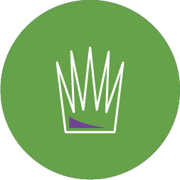 ikona zielona - zakładanie trawnika w Małopolsce