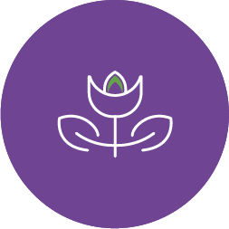 ikona fioletowa - zakładanie ogrodów Zawiercie