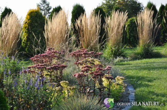 projektowanie ogrodow slask