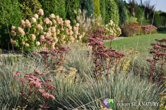 ogrod naturalistyczny slask