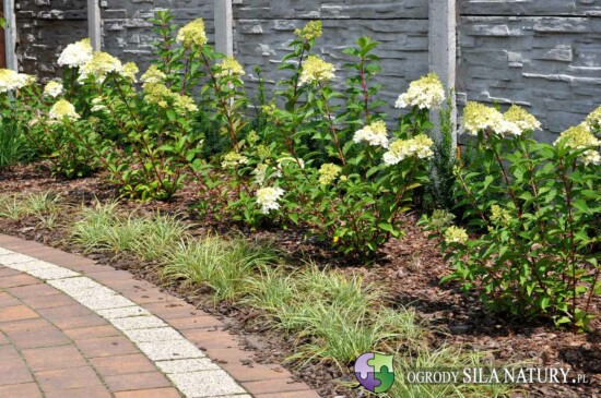 projektowanie ogrodow śląsk i zagłębie