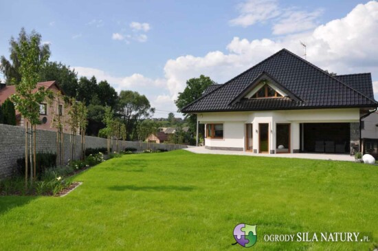 zakladanie trawnika zaglebie i slask