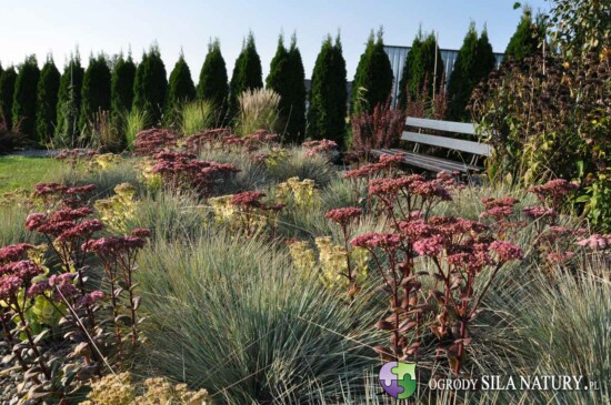 ogrod swobodny slask katowice