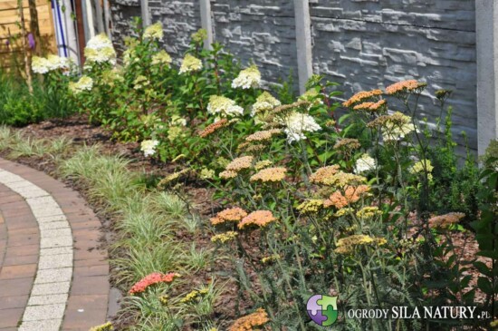 projektowanie ogrodow katowice tychy gliwice