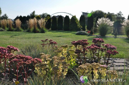 architektura krajobrazu katowice czestochowa