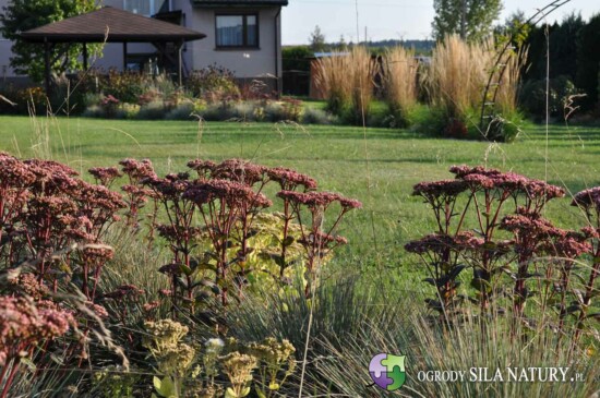 zakldanie ogrodow zawiercie myszkow