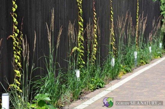 zakladanie ogrodow zaglebie