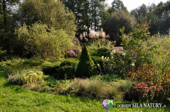 ogrod lesny slask zawiercie