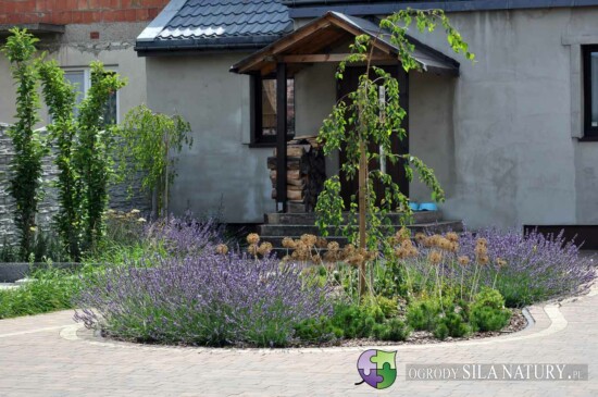 zakladanie ogrodow katowice