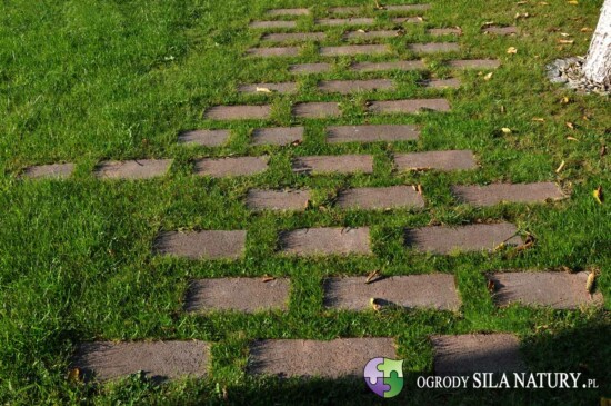 nawierzchnia kostka brukowa w ogrodzie slask katowice