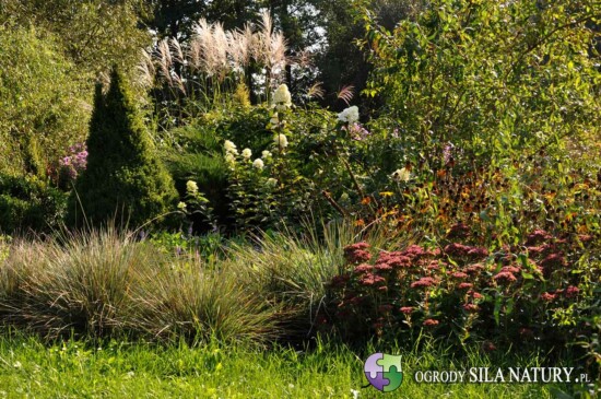 ogrod naturalistyczny slask zaglebie katowice
