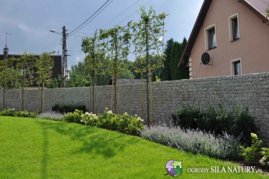 zakladanie ogrodow slask
