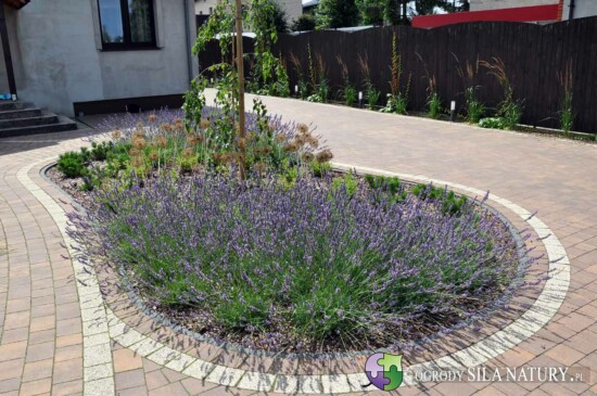 ogrod prowansalski slask zawiercie