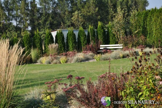 zakladanie ogrodow slask katowice