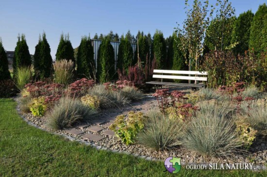 zakladanie ogrodow zaglebie