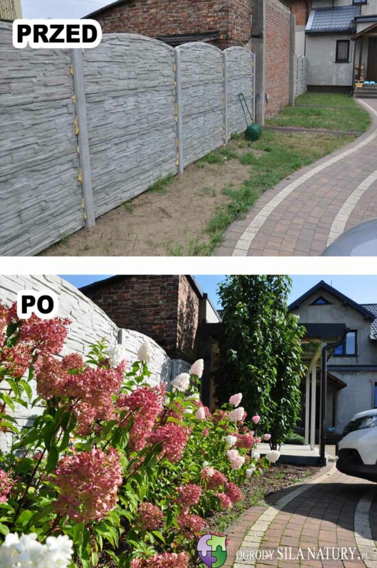 aranzacja-ogrodu-przydomowego-bedzin