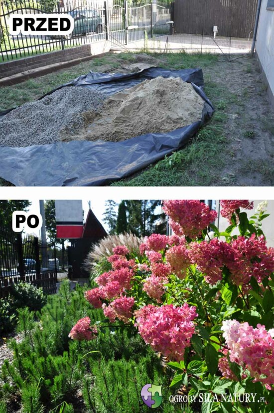 aranzacja-ogrodu-przydomowego-dabrowa-gornicza