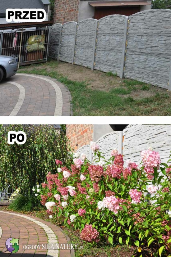 aranzacja-ogrodu-przydomowego-katowice