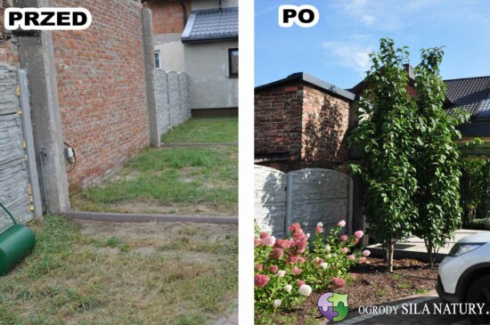 aranzacja-ogrodu-przydomowego-sosnowiec