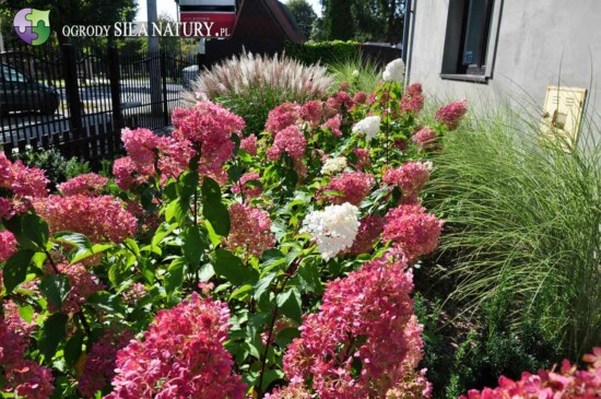 archiktekt-krajobrazu-katowice