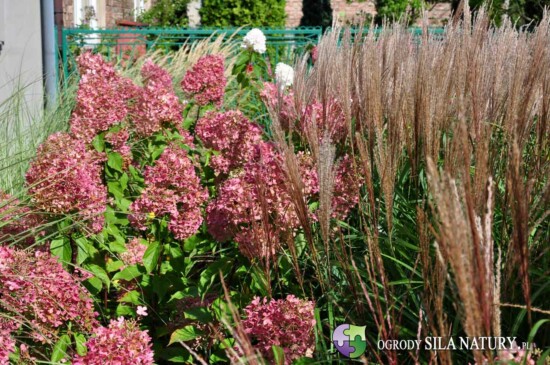 architekt-krajobrazu-bedzin