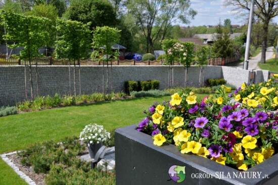 projekt-ogrod-nowoczesny-gliwice