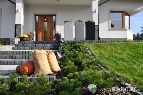 projekt-ogrod-nowoczesny-sosnowiec