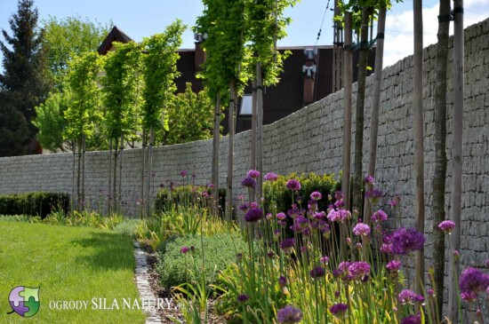 projekt-ogrod-nowoczesny-w-katowicach