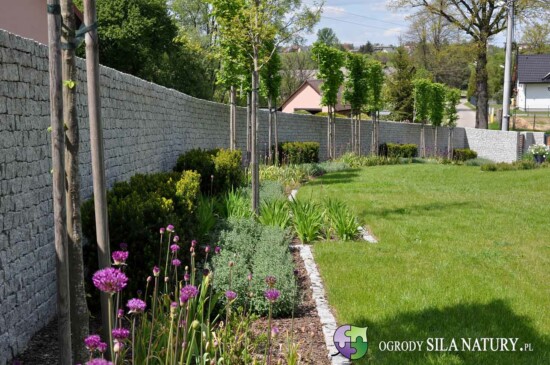 projekt-ogrod-nowoczesny-z-trawami-katowice