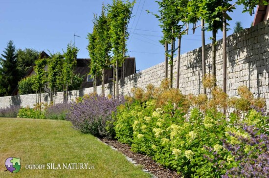 projektant-zieleni-katowice