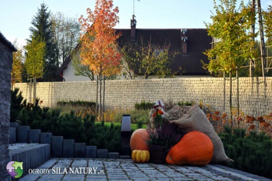 projektowanie-ogrodow-katowice