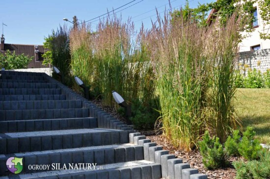 zakladanie-ogrodow-katowice